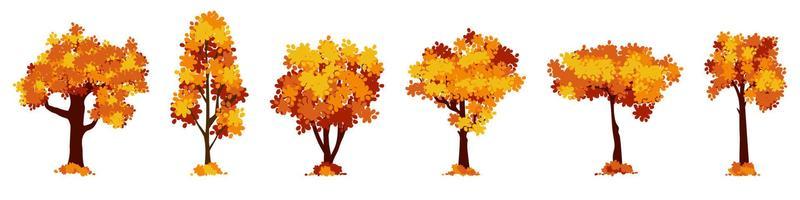 Set of cartoon autumn tree isolated on a white background. Vector element for fall landscape, autumn cards, kids books.