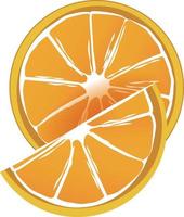 orange fruit slices vector