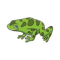 cartoon illustration the frog is on a leaf of a leafy tree and high in the middle of the forest and looks up to catch its prey vector