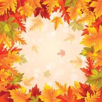 Autumn Colorful Fallen Leaves vector