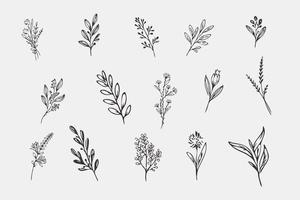 seamless monochrome hand drawn leaf pattern background vector