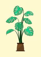 graphics drawing tree monstera with yellow background vector