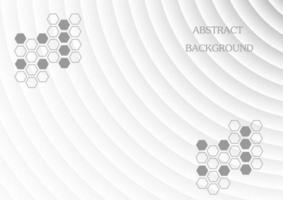 abstract background with and gray line curve with hexagon for backdrop and wallpaper vector illustration