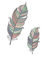 Set Feathers Boho Doodle vector