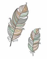 Set Feathers Boho Doodle vector