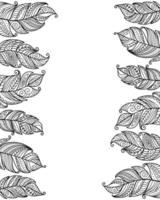 Boho Style Frame Black White Feather vector