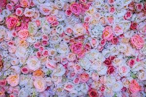 rose flower background photo