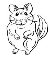 linda chinchilla divertida para pegatinas. roedor dibujado a mano - ratón, hámster o chinchilla. vectorial, ilustración. vector