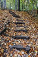 Path in Yedigoller National Park, Bolu, Turkey photo