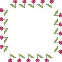 Square frame with vertical blooming pink tulips on white background. Isolated frame of flowers for your design. vector