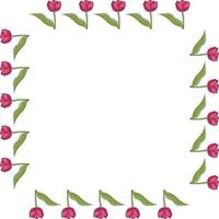 Square frame with vertical blooming pink tulips on white background. Isolated frame of flowers for your design. vector