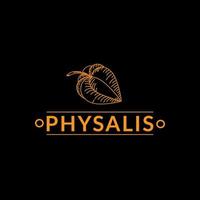 emblema del logotipo para el mercado de frutas exóticas, un negocio para tiendas de comestibles. flor de physalis sobre fondo negro. silueta. bayas. physalis encaje phisalis. garabatos dibujados a mano en un boceto vector