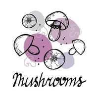 Mushrooms, hand-drawn doodle in sketch style. Isolated elements on a white background. Mushrooms mushrooms. Abstract spots. Vector in a simple style