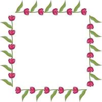 Square frame with horizontal blooming pink tulips on white background. Isolated frame of flowers for your design. vector