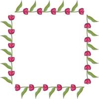 Square frame with horizontal blooming pink tulips on white background. Isolated frame of flowers for your design. vector