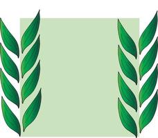 Green square frame with green leaves. Vector on white background for your design.