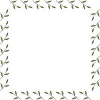 Square frame made of green branches with leaves. Vector on white for your design- 02