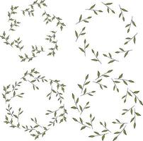 Four round frames made of green branches. Wreaths on white background for your design vector