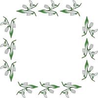 Square frame with horizontal lovely snowdrops on white background. Isolated vector flowers pattern for your design.