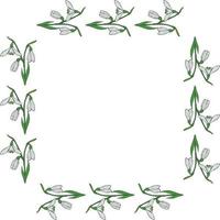 Square frame with horizontal lovely snowdrops on white background. Isolated vector flowers pattern for your design.