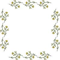 Square frame with horizontal flowers buttercups on white background. Isolated frame with flowers for your design. vector