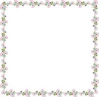 Square frame made of cosmos, clover, chamomile, carnation and poppy buds. Romantic floral square on white background for your design. vector