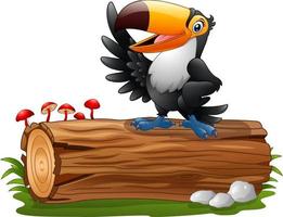 Cartoon funny toucan standing on tree log vector