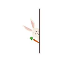 Bunny hiding. Smile Rabbit Look out and Holding Carrot vector