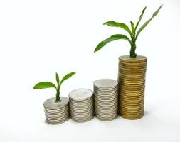 The silver and gold coins are stacked, and the green seedlings are booming. White background gives ideas for business growth, finance, savings, interest, feel wealth in life. photo