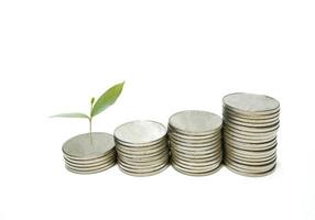 Silver metal coins stacked with small green trees. White background gives the concept of growth. Financial business, saving money, interest, giving a feeling of wealth and stability in life. photo