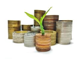 The silver and gold coins are stacked, and the green seedlings are booming. White background gives ideas for business growth, finance, savings, interest, feel wealth in life. photo