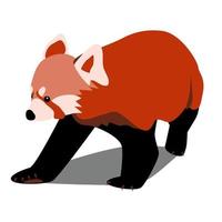 Red panda flat color front view cute bear cat walking animal book, education nature element vector illustration