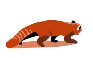 Red panda sneaking side view, bear cat flat vector illustration