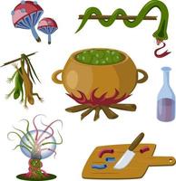 Magic witch set. Poison mushrooms, snake, lizards, cauldron, bottle, knife, sphere. Isolated vector objects on white background Vetor illustration