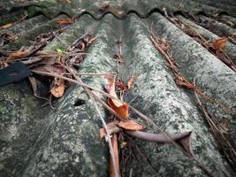 old gray roof With brown leaves and branches, moss, concept, dirty, needs to be cleaned. photo