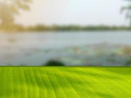Green banana leaf counter at sunrise in the swamp at dawn. Can be used as a display stand for presentations and advertisements. photo