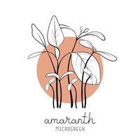 Microgreen sketch vector illustration. Green for home gardening. Amaranth plant on circle background