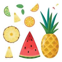 Summer Fruits - Pineapple, Watermelon, Lime, Orange vector