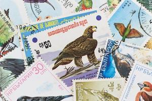 Postage stamps with a bird theme photo