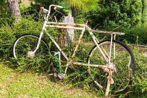 Old white bicycle with rusty in garden photo