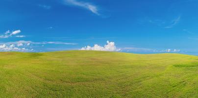 Panoramic green grass on golf field photo