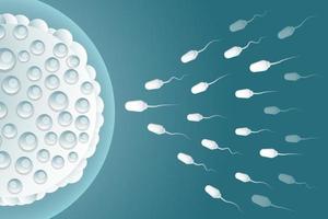 illustration background design sperm fertilize the egg