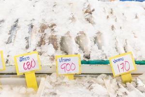 Fresh Saltwater fish in market photo