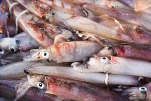 calamares frescos en el mercado foto