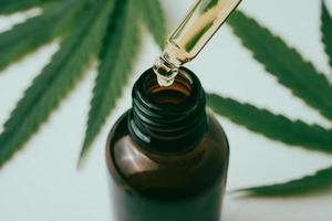Cannabis oil in the dropper bottle with green leaves on white background. Alternative medicine concept. photo