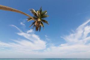 hermoso paisaje natural con playa, cocoteros y cielo azul foto