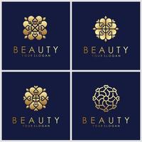 set of ornament logo design templates vector