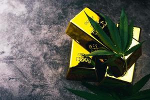 la planta de cannabis con lingotes de oro. lingotes de oro con hojas de marihuana. foto