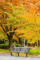 Beautiful natural scenery. Autumn leaves in a Japanese park. photo