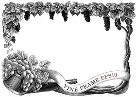 Vine frame hand draw vintage engraving style black and white clip art isolated on white background vector